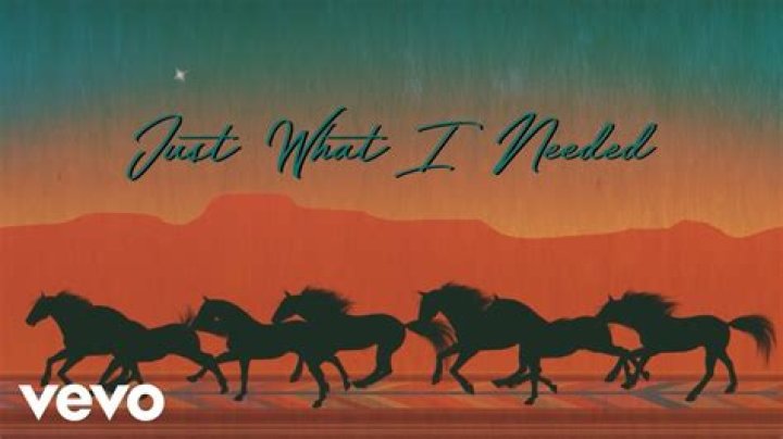 I guess your just what i needed lyrics