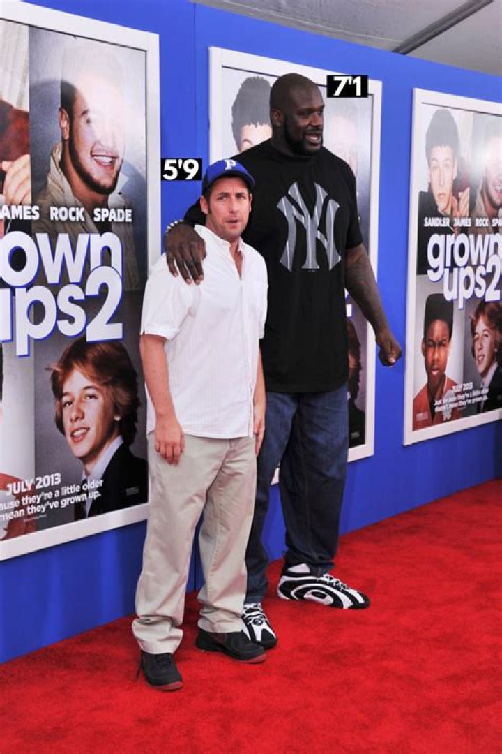 Unveiling The Height Of Adam Sandler